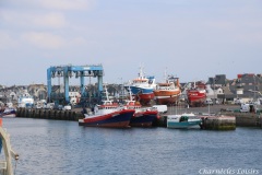 Port du Guilvinec - La flotte Intermarché