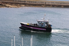 Arrivée des pêcheurs au port du Guilvinec