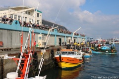 Port du Guilvinec - Quai de déchargement de la pêche